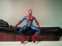 Spider-Man (Marvel Universe) Custom Action Figure