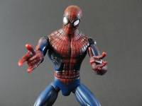Spider-Man (Spider-Man) Custom Action Figure