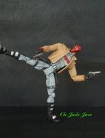 Jason Todd: the Red Hood (Batman) Custom Action Figure