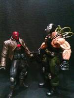 Jason Todd ( the Red Hood) (Batman) Custom Action Figure
