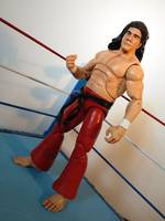 Tanaka (Wrestling) Custom Action Figure