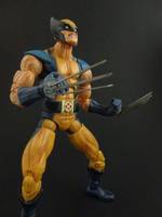Astonishing X-Men Wolverine (Marvel Legends) Custom Action Figure