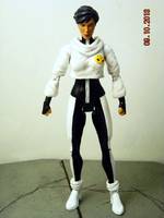 Phase (DC Universe) Custom Action Figure