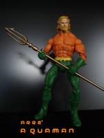 Aquaman (DC Universe) Custom Action Figure