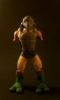 Adult Raphael (Teenage Mutant Ninja Turtles) Custom Action Figure