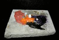 Metamorpho (Original) Custom Statue / Bust