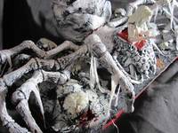 Quelaan Dark Souls (Lord of the Rings) Custom Diorama / Playset