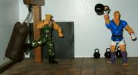 Street Fighter Dojo (Street Fighter) Custom Diorama / Playset