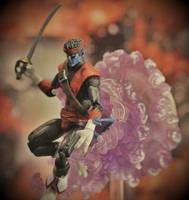 Nightcrawler (Swashbuckling Costume) (Marvel Universe) Custom Action Figure