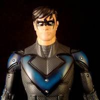 Nightwing Head (DC Universe) Custom Action Figure
