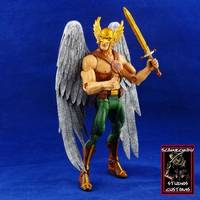 Hawkman (DC Universe) Custom Action Figure