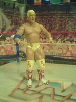 The Natural Dustin Rhodes (Wrestling) Custom Action Figure