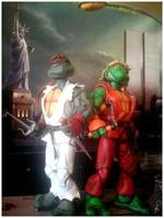 Teenage Mutant Street Fighter Turtles...Mi-Kenangelo & Raph-Ryu (Teenage Mutant Ninja Turtles) Custom Action Figure