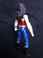 Wonder Woman (DC Infinite Heroes) Custom Action Figure