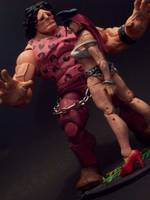 Hugo and Poison HWA (Street Fighter) Custom Action Figure