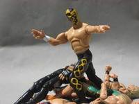 Pierroth (Wrestling) Custom Action Figure
