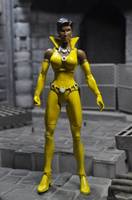 Vixen (DC Universe) Custom Action Figure