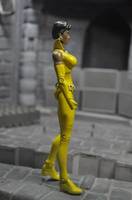 Vixen (DC Universe) Custom Action Figure
