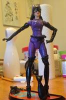Catwoman (Batman) Custom Action Figure