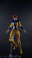 Jim Lees Jean Grey (Marvel Universe) Custom Action Figure