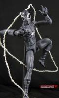 Negative Zone Spider-Man (Marvel Legends: City of Heroes) Custom Action Figure