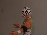 Dr Wagner Jr (Wrestling) Custom Action Figure