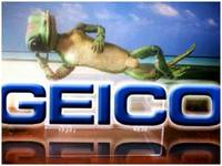 GEICO Gecko (Mascots) Custom Action Figure