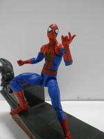 The Amazing Spider-Man (Spider-Man - Movie) Custom Action Figure