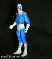 Dove (DC Universe) Custom Action Figure