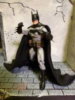 The BATMAN (Batman) Custom Action Figure