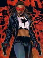 CRIMSON AVENGER II Jill Carlyle JSA Member (DC Direct) Custom Action Figure