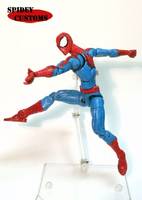 Bagley Spiderman (Marvel Legends) Custom Action Figure