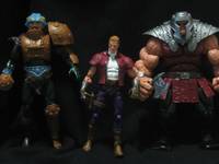 Prince Adam (Masters of the Universe) Custom Action Figure