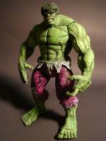 The Hulk (Incredible Hulk) Custom Action Figure