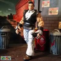 Teenage Mutant Street Fighter Turtles..Vanilla Dan SDCC Exclusive (Teenage Mutant Ninja Turtles) Custom Action Figure