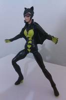 Batcat  ,  Catherine Wayne (Kane) (DC Universe) Custom Action Figure