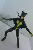 Batcat  ,  Catherine Wayne (Kane) (DC Universe) Custom Action Figure