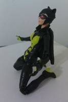 Batcat  ,  Catherine Wayne (Kane) (DC Universe) Custom Action Figure