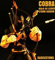 Cobra Ninja-Ku STORM SHADOW (G.I. Joe) Custom Action Figure