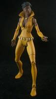Vixen (DC Universe) Custom Action Figure