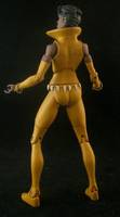 Vixen (DC Universe) Custom Action Figure