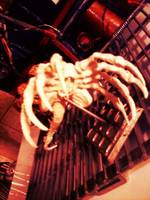 Alien Queen Facehugger (Aliens) Custom Miniature / Figurine