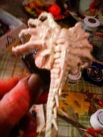 Alien Queen Facehugger (Aliens) Custom Miniature / Figurine