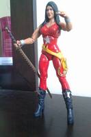 Wonder Girl  ,  Donna Troy (Teen Titans) Custom Action Figure