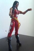 Wonder Girl  ,  Donna Troy (Teen Titans) Custom Action Figure