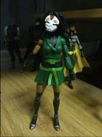 Chessire (Young Justice) Custom Action Figure