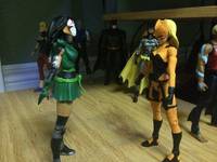 Chessire (Young Justice) Custom Action Figure