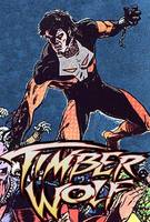 TIMBER WOLF Brin Londo Legion of Super-Heroes Member (DC Universe) Custom Action Figure