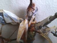Post Fire General Greivous (Star Wars Episode III) Custom Action Figure