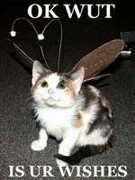 Fairy Kitten (Misc) Custom Miniature / Figurine